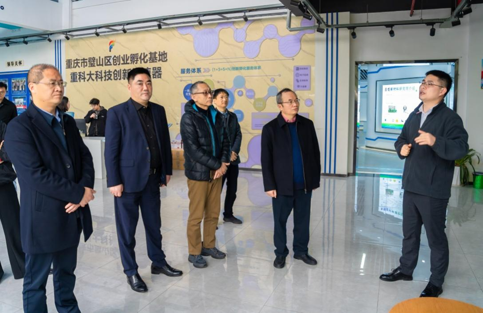 图片5 图片5